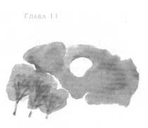 Иллюстрация к книге — Глубина моря [i_014.jpg]