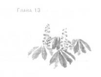 Иллюстрация к книге — Глубина моря [i_016.jpg]