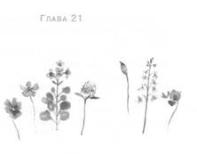 Иллюстрация к книге — Глубина моря [i_024.jpg]