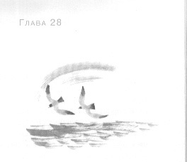 Иллюстрация к книге — Открытое море [img_30.jpg]