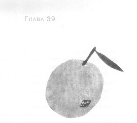 Иллюстрация к книге — Открытое море [img_41.jpg]