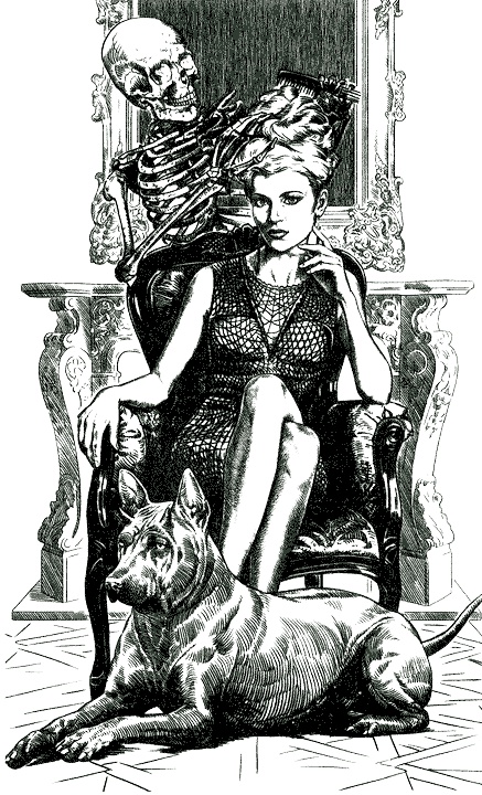 Иллюстрация к книге — Случайное - не случайно [i_001.jpg]