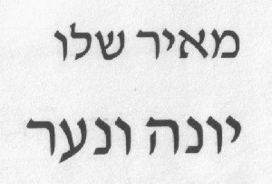 Иллюстрация к книге — Голубь и мальчик [pic01.jpg]