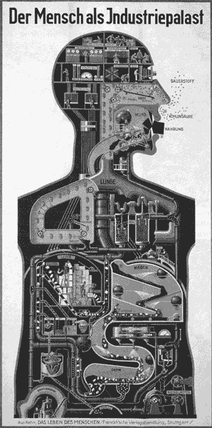 Иллюстрация к книге — Горы, моря и гиганты [i_009.jpg]