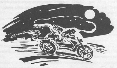 Иллюстрация к книге — Бывают дети-зигзаги [i_055.jpg]