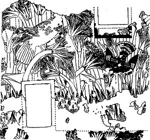 Иллюстрация к книге — Нефертити и Эхнатон [i_002.jpg]