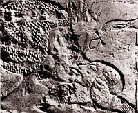 Иллюстрация к книге — Нефертити и Эхнатон [i_052.jpg]