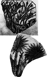 Иллюстрация к книге — Нефертити и Эхнатон [i_055.jpg]