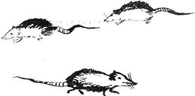 Иллюстрация к книге — Пятница, или Дикая жизнь [_11.jpg]