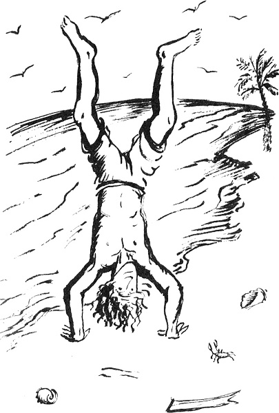 Иллюстрация к книге — Пятница, или Дикая жизнь [_21.jpg]