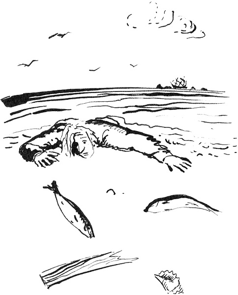 Иллюстрация к книге — Пятница, или Дикая жизнь [_3.jpg]