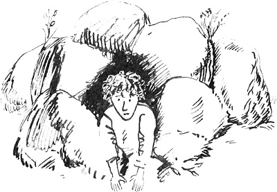 Иллюстрация к книге — Пятница, или Дикая жизнь [_37.jpg]