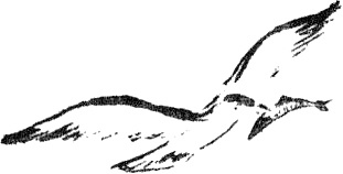 Иллюстрация к книге — Пятница, или Дикая жизнь [_39.jpg]