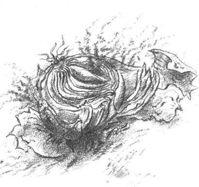 Иллюстрация к книге — Луковица памяти [i_004.jpg]