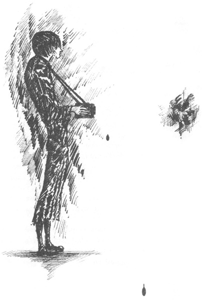 Иллюстрация к книге — Фотокамера [i_001.jpg]