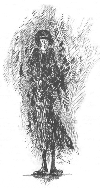 Иллюстрация к книге — Фотокамера [i_002.jpg]