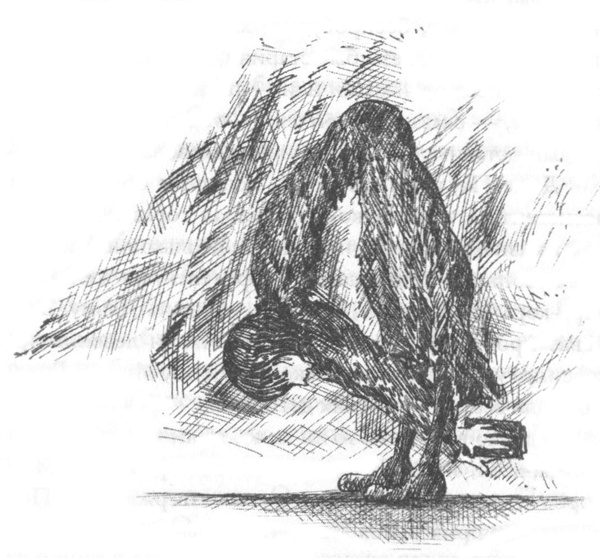 Иллюстрация к книге — Фотокамера [i_008.jpg]