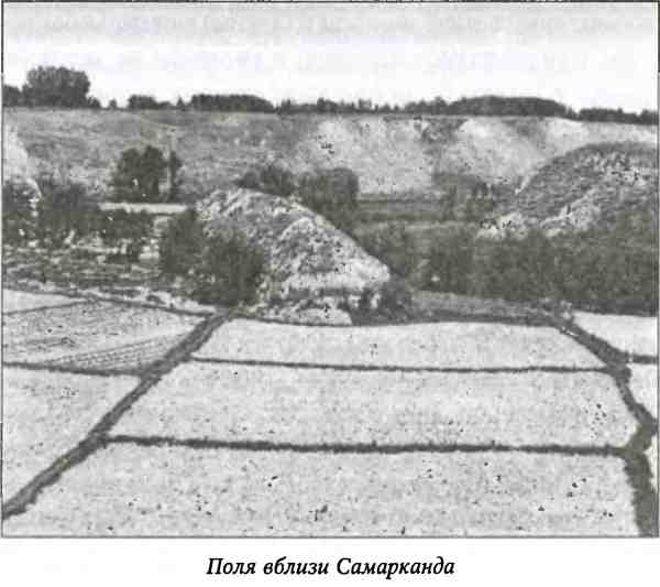 Иллюстрация к книге — Тамерлан. Потрясатель вселенной [i_006.jpg]