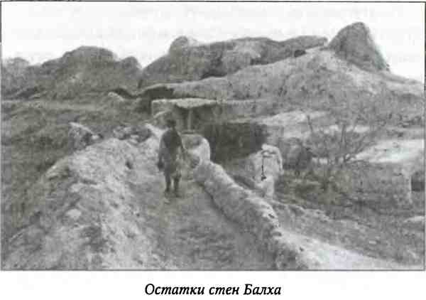 Иллюстрация к книге — Тамерлан. Потрясатель вселенной [i_028.jpg]