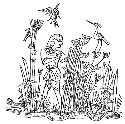 Иллюстрация к книге — Египетские приключения [i_023.jpg]