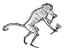 Иллюстрация к книге — Египетские приключения [i_031.jpg]