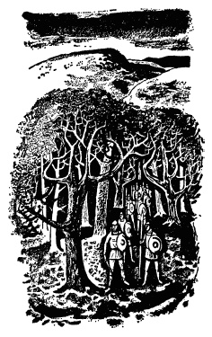 Иллюстрация к книге — Галльская война Цезаря [i_012.jpg]