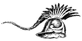 Иллюстрация к книге — Римляне [i_034.jpg]