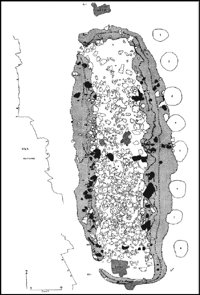 Иллюстрация к книге — От Ариев до Викингов, или Кто открыл Америку [i_013.jpg]
