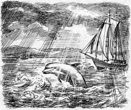 Иллюстрация к книге — Шхуна, которая не желала плавать [pic_13.jpg]