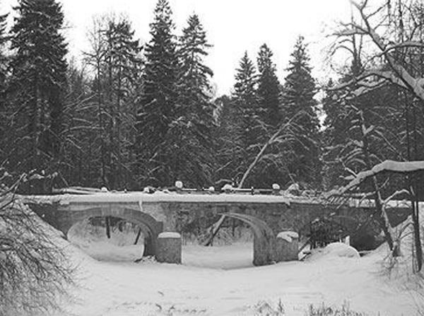 Иллюстрация к книге — Дворянские гнезда [i_025.jpg]