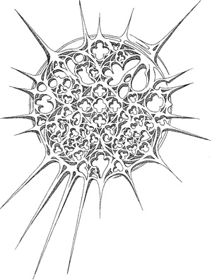 Иллюстрация к книге — На пути [i_008.jpg]