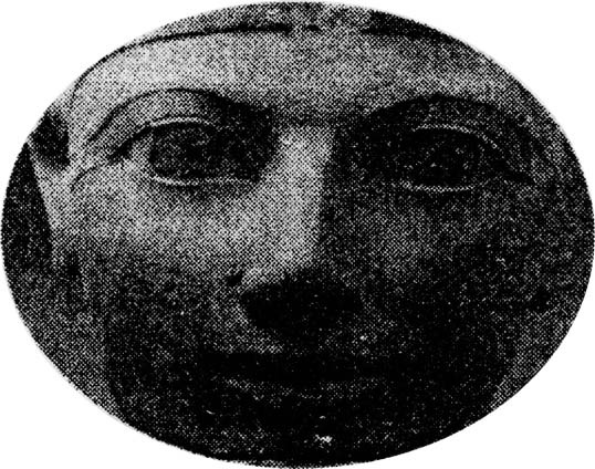 Иллюстрация к книге — Мушка [i_001.jpg]