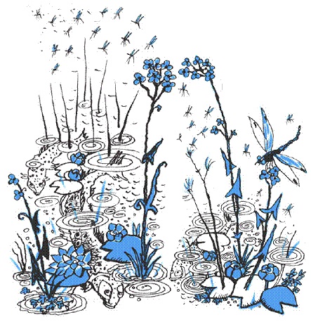 Иллюстрация к книге — Пак с Волшебных холмов [pic_25.jpg]