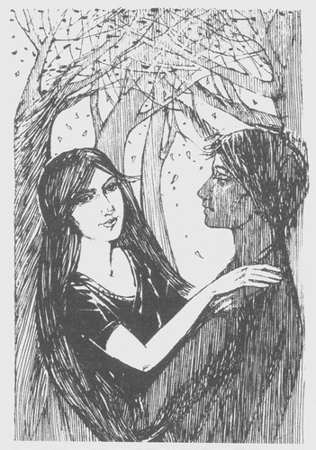 Иллюстрация к книге — Бал. Жар крови [i_010.jpg]