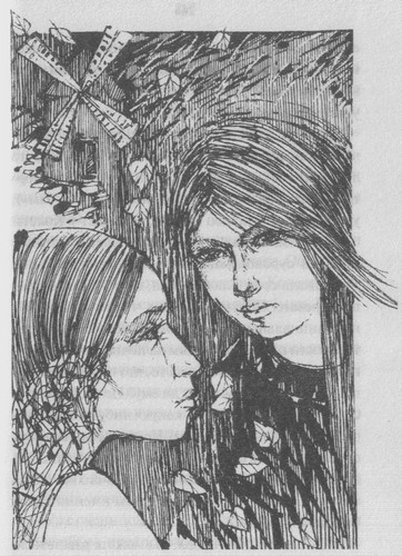 Иллюстрация к книге — Бал. Жар крови [i_013.jpg]