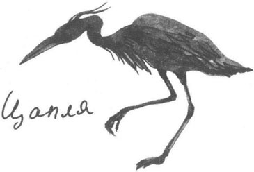 Иллюстрация к книге — Книга птиц Восточной Африки [i_003.jpg]