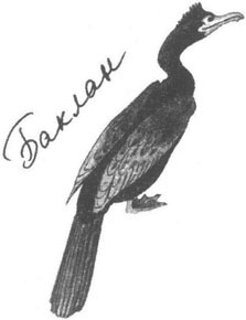 Иллюстрация к книге — Книга птиц Восточной Африки [i_012.jpg]