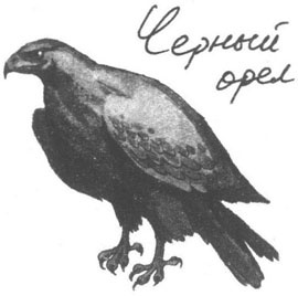 Иллюстрация к книге — Книга птиц Восточной Африки [i_017.jpg]