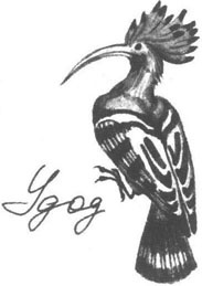 Иллюстрация к книге — Книга птиц Восточной Африки [i_024.jpg]