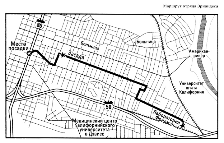 Иллюстрация к книге — Наночума. Проклятый год [i_002.jpg]