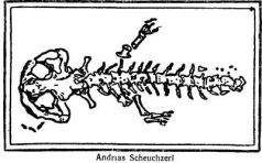 Иллюстрация к книге — Война с саламандрами [pic_3.jpg]