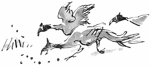 Иллюстрация к книге — Дэнни - чемпион мира [i_019.jpg]