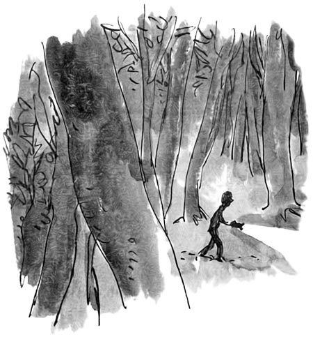 Иллюстрация к книге — Дэнни - чемпион мира [i_030.jpg]