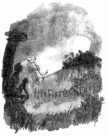 Иллюстрация к книге — Дэнни - чемпион мира [i_039.jpg]