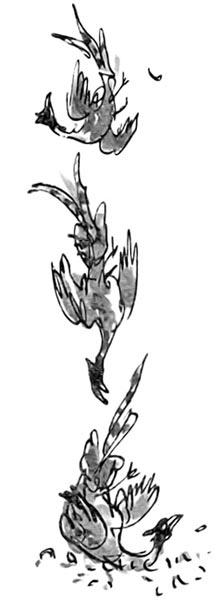 Иллюстрация к книге — Дэнни - чемпион мира [i_059.jpg]