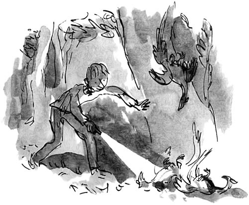 Иллюстрация к книге — Дэнни - чемпион мира [i_060.jpg]