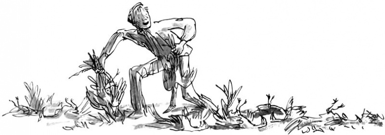 Иллюстрация к книге — Дэнни - чемпион мира [i_062.jpg]