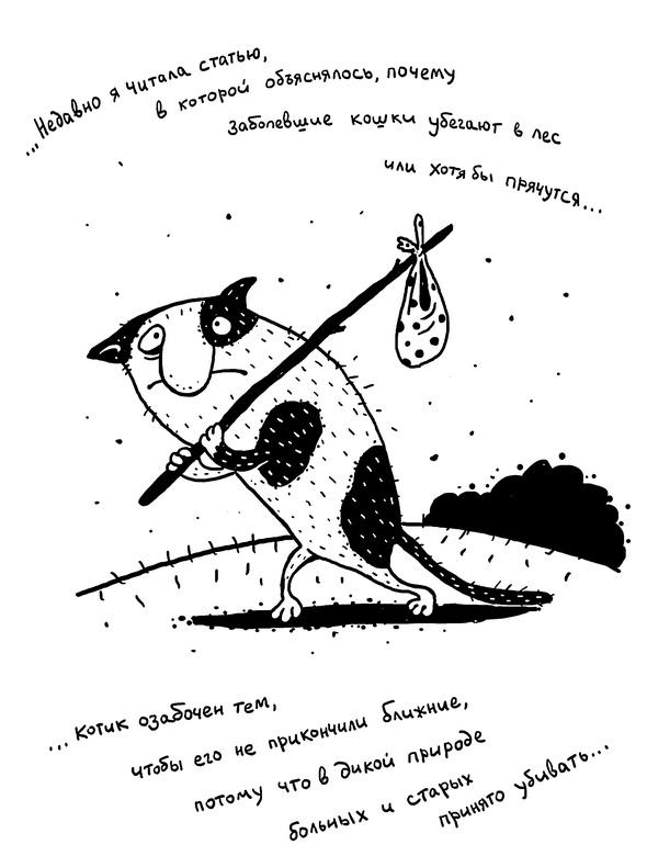 Иллюстрация к книге — Искусство любовной войны [i_015.jpg]