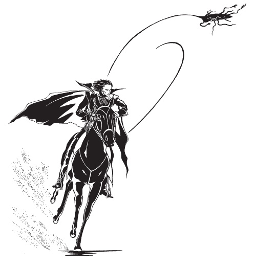 Иллюстрация к книге — Всадник [i_001.jpg]