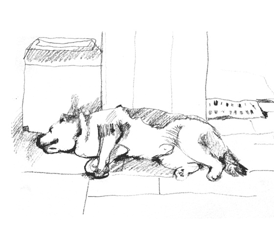 Иллюстрация к книге — Записки понаехавшего [i_002.jpg]